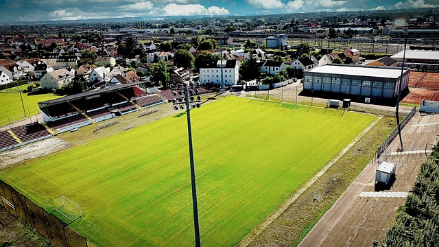 智利街头足 智利街头足