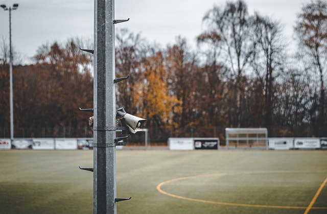 本赛季展现 本赛季展现