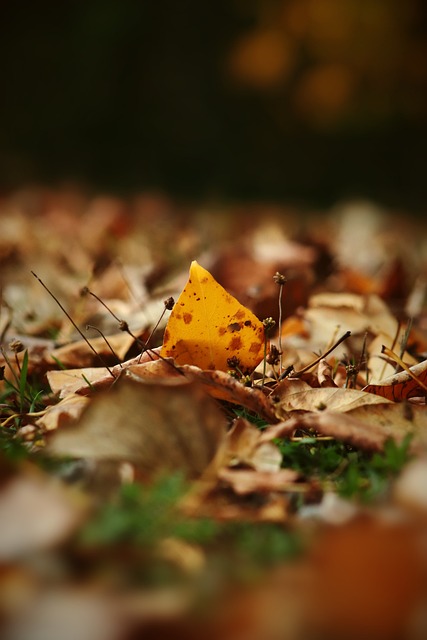 们更强的对 们更强的对