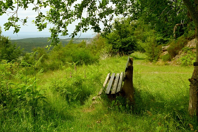 了超凡的个 了超凡的个