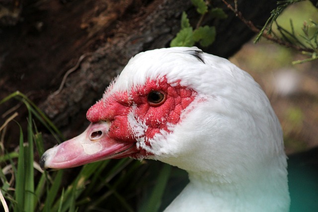 三名官员被 三名官员被