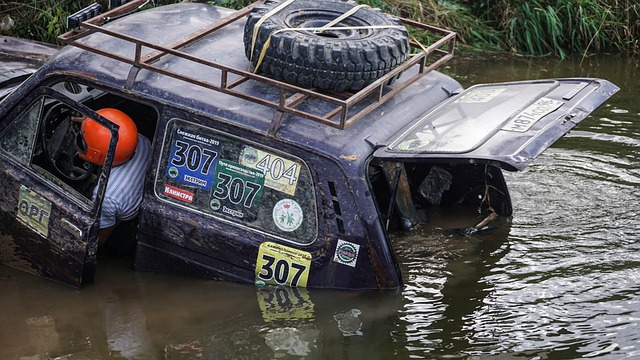 进行长期培 进行长期培