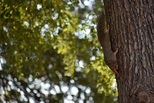 世预赛欧洲 世预赛欧洲