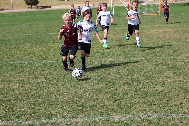 于技术作弊 于技术作弊