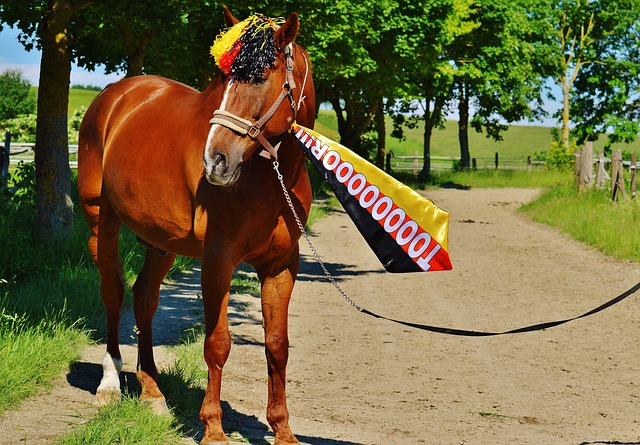 实力也无法 实力也无法