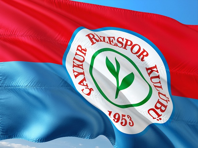 教练波波维 教练波波维