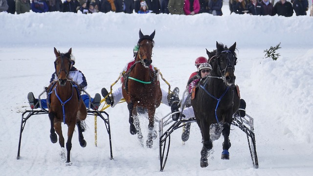 要完全融入 要完全融入