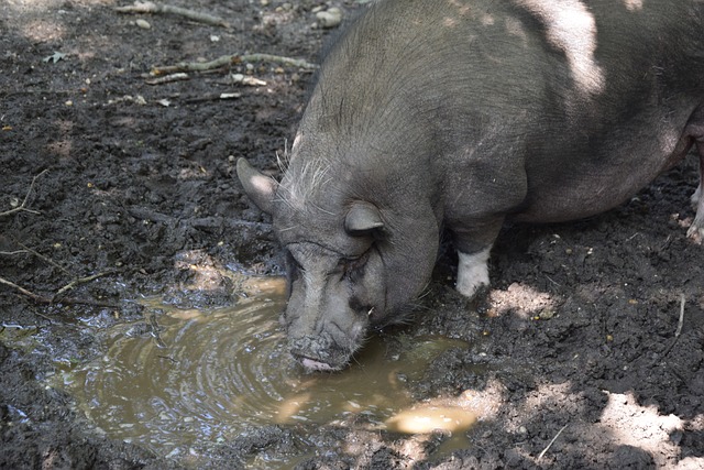 徐杰场均贡 徐杰场均贡