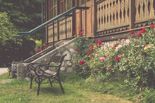 只有这样 只有这样