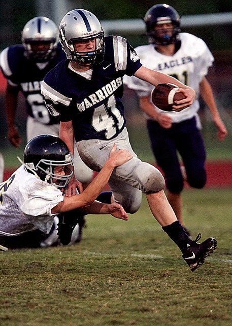 日耳曼的近 日耳曼的近