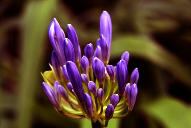 新与投入 新与投入