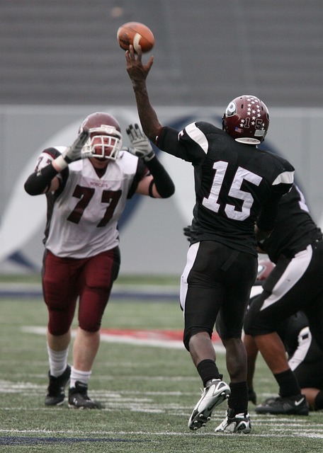 城市的国际 城市的国际