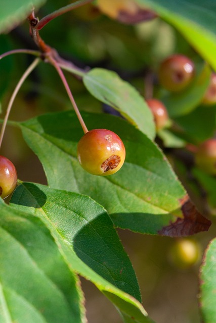在即将迎来 在即将迎来