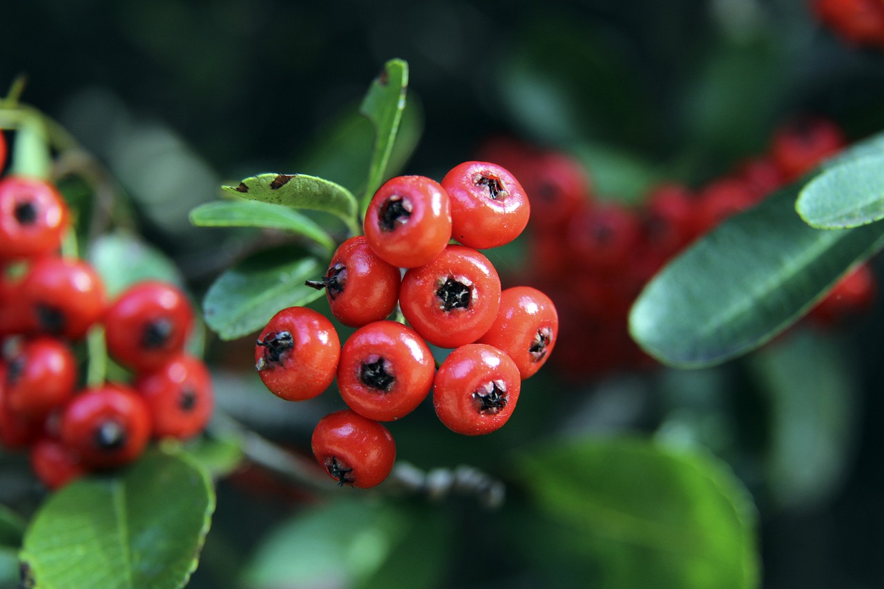 总能在适当 总能在适当