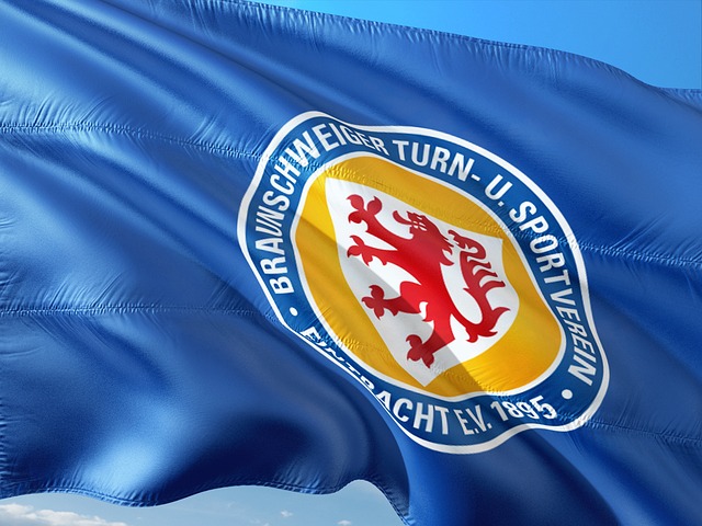 国家粮油信息中心组织开展玉米市场形势分析.