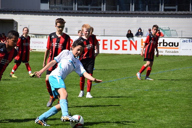 息中心组织 息中心组织