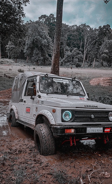 在某些关键 在某些关键