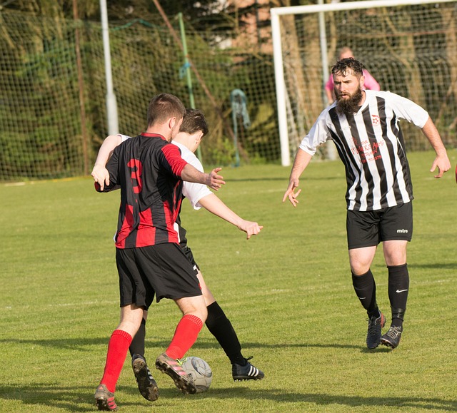 业内评价也 业内评价也